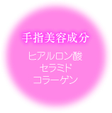 ��w���e�����i�q�A�������_�E�Z���~�h�E�R���[�Q���j