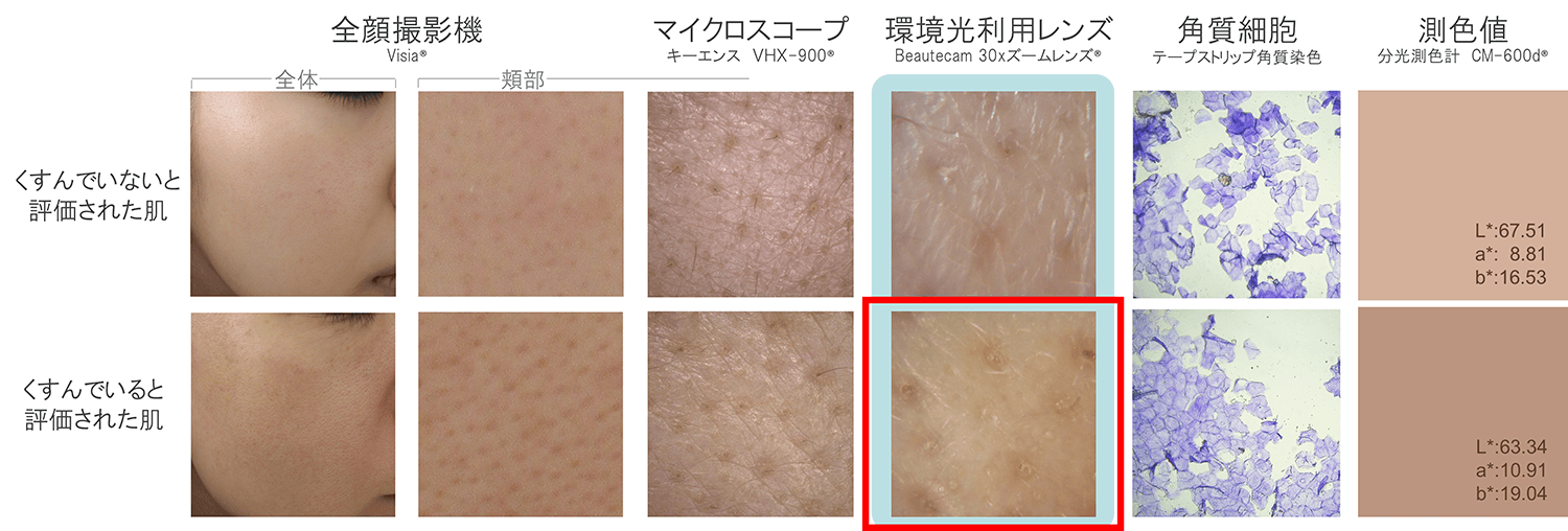 環境光を利用したレンズでの観察研究