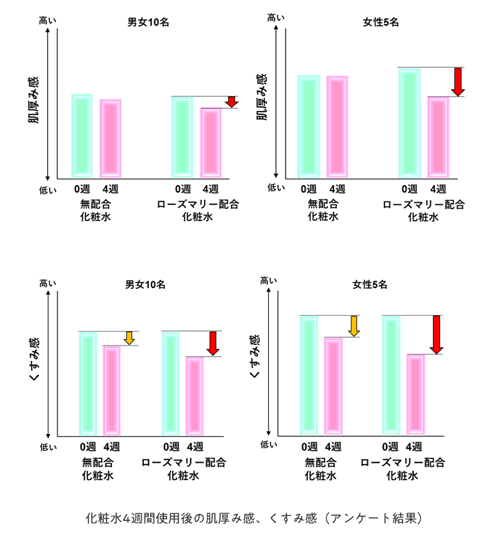 化粧水4週間使用後の肌厚み感