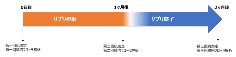 サプリ服用期間と測定のタイミングについて