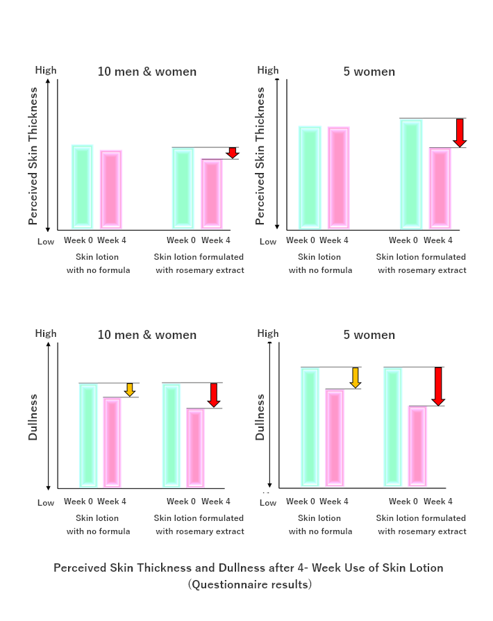 Perceived skin thickness after four-week use of skin lotion