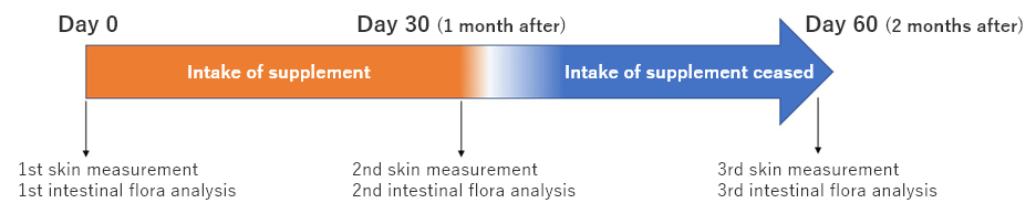 Duration of supplement intake and the timing of measurement