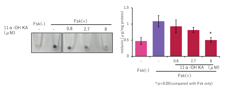 Melanin production inhibition test using B16F10 cells