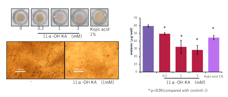 Melanin production inhibition test using 3D model of the skin