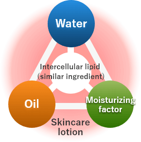 Cosmetics Intercellular lipid