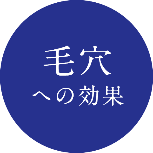 毛穴への効果