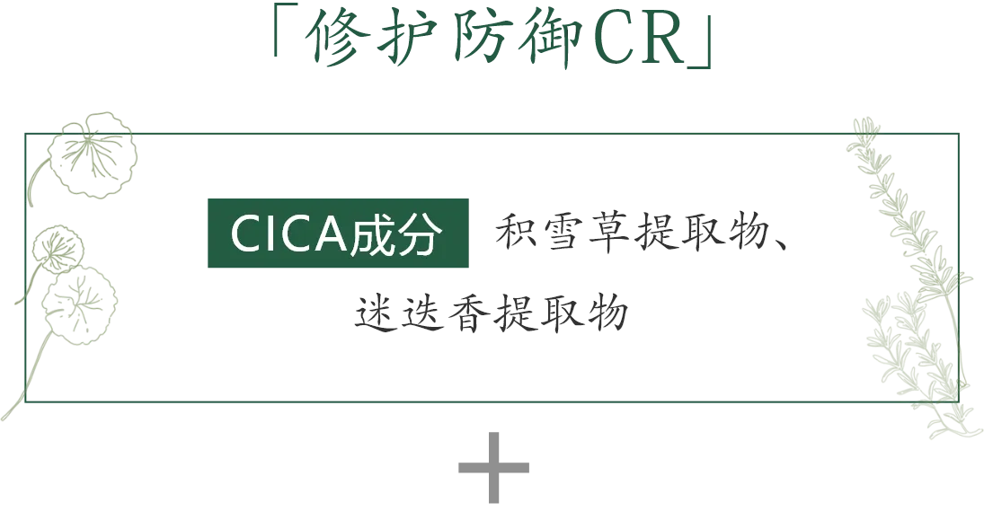 「修护防御CR」