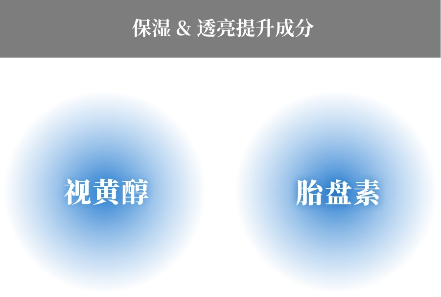 紧致 & 弹力提升成分