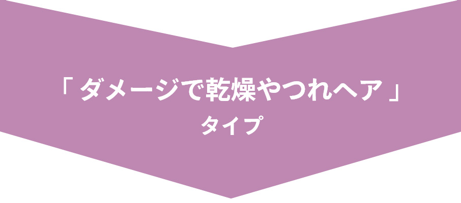 「 ダメージで乾燥やつれヘア 」タイプ