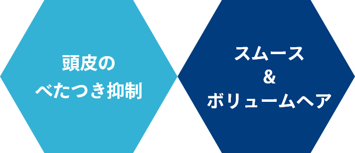 頭皮の
				べたつき抑制/スムース&ボリュームヘア