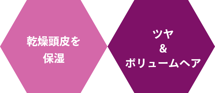 乾燥頭皮を
				保湿/ツヤ&ボリュームヘア