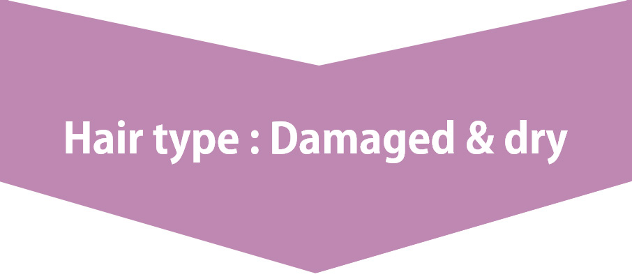 Hair type : Damaged & dry