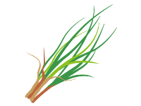 Lemongrass