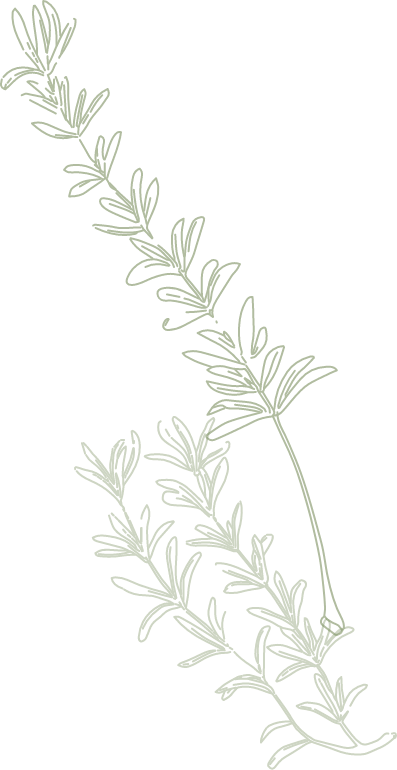 Rosemary