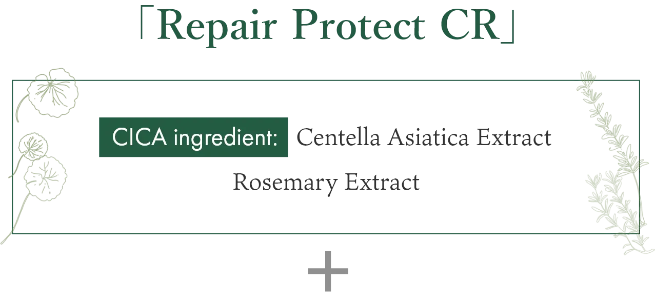 「Repair Protect CR」