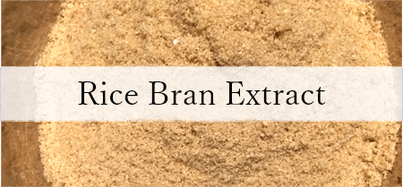 Rice Bran Extract