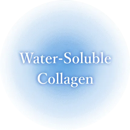 Water-Soluble Collagen