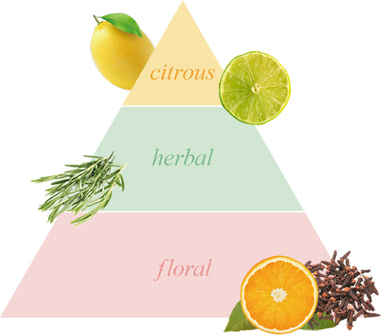 Citrus Aroma / Herbal Aroma / Floral Aroma