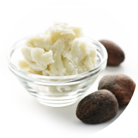 Shea Butter Extract