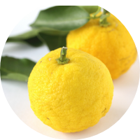 Yuzu Citrus Extract