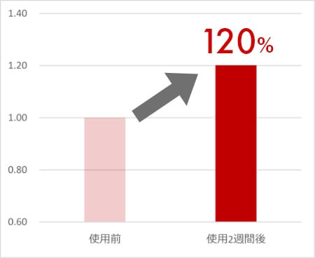 お肌の弾力性