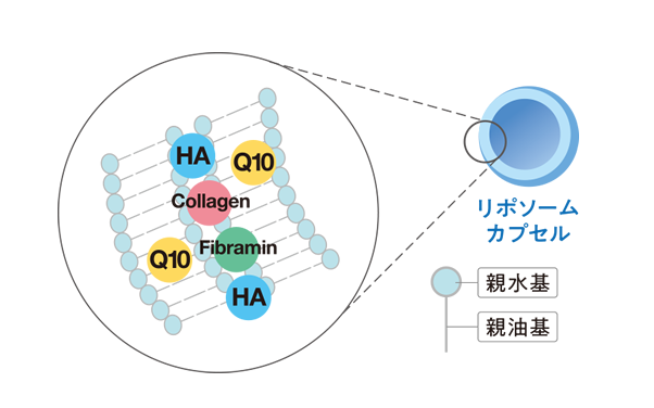 リポソームカプセル
