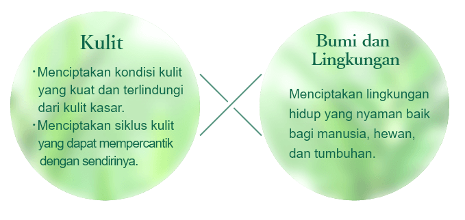 Kulit：Menciptakan kondisi kulit yang kuat dan terlindungi dari kulit kasar. Menciptakan siklus kulit yang dapat mempercantik dengan sendirinya. Bumi dan Lingkungan：Menciptakan lingkungan hidup yang nyaman baik bagi manusia, hewan, dan tumbuhan.