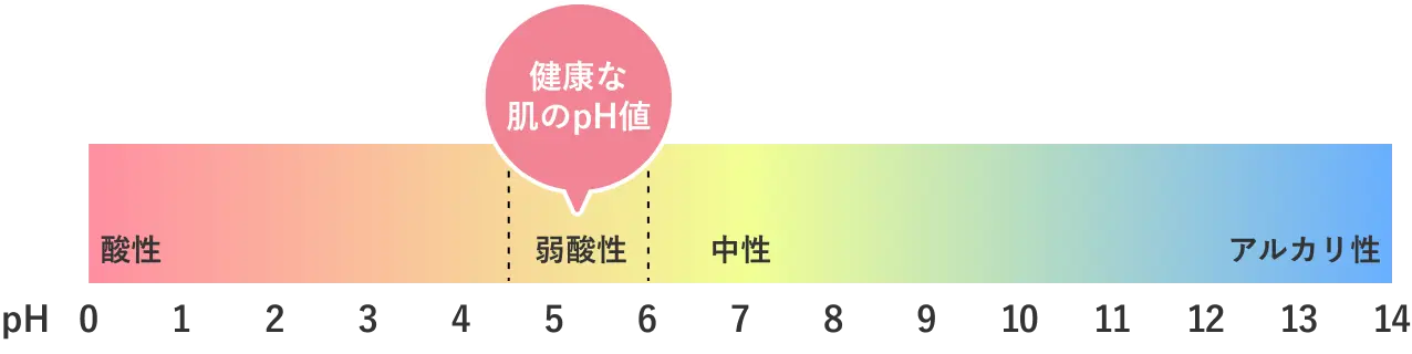 健康な肌のpH値