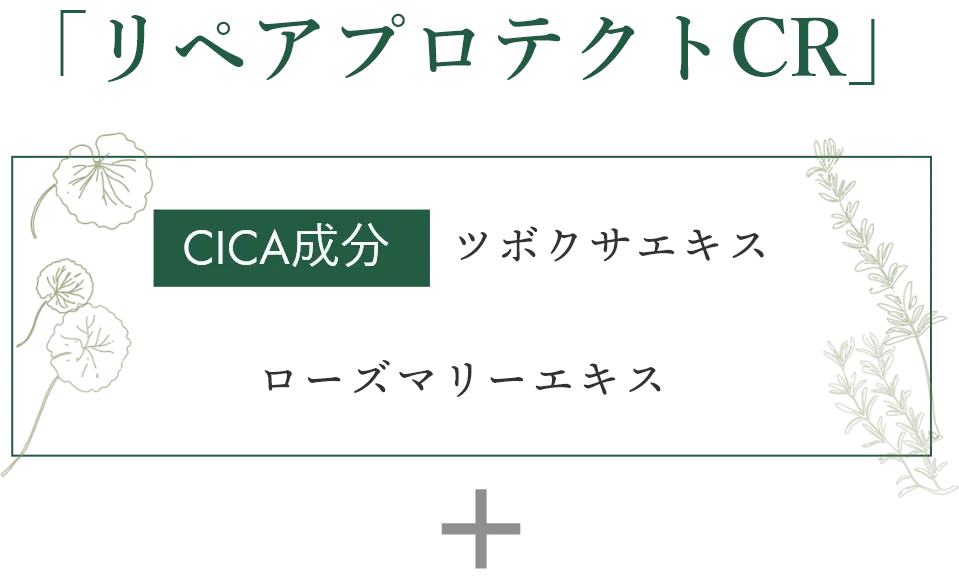 「リペアプロテクトCR」