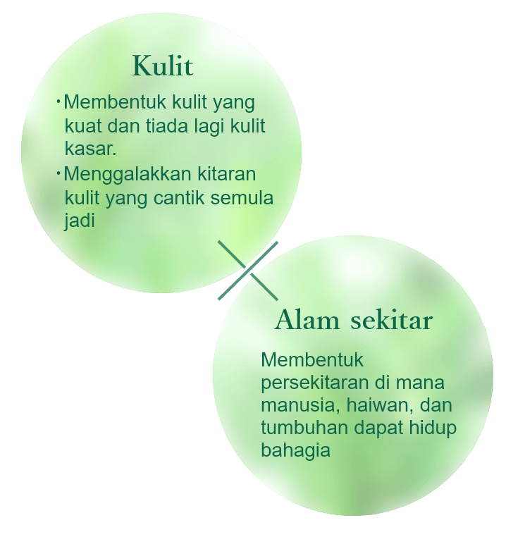 SKIN：No more rough skin, achieve the tough & healthy skin. To achieve the beautiful skin cycle、ENVIRONMENT：Develop an environment in which human, animals and natures … all could live happily.