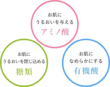 お肌にうるおいを与えるアミノ酸 お肌にうるおいを閉じ込める糖類 お肌になめらかにする有機酸