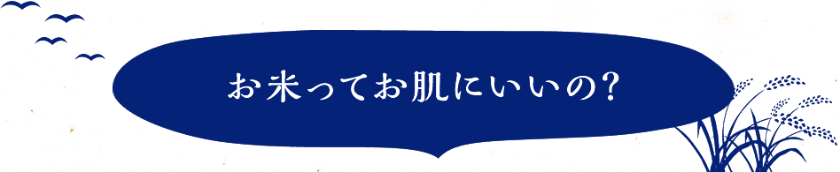 お米ってお肌にいいの？