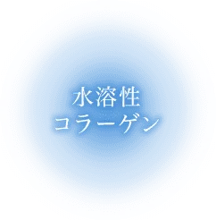 水溶性コラーゲン