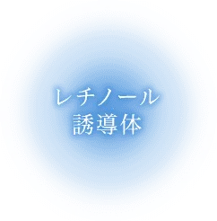 レチノール誘導体