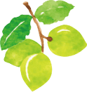 Kakadu Plum Extract