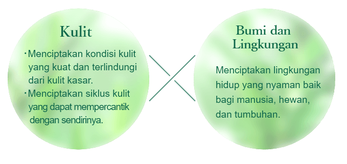 Kulit:Menciptakan kondisi kulit yang kuat dan terlindungi dari kulit kasar. Menciptakan siklus kulit yang dapat mempercantik dengan sendirinya. Bumi dan Lingkungan:Menciptakan lingkungan hidup yang nyaman baik bagi manusia, hewan, dan tumbuhan.
