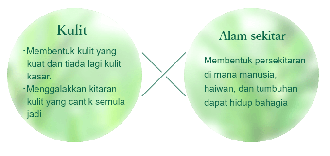 SKIN:No more rough skin, achieve the tough & healthy skin. To achieve the beautiful skin cycle、ENVIRONMENT:Develop an environment in which human, animals and natures … all could live happily.