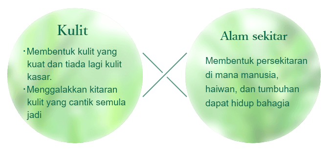 SKIN：No more rough skin, achieve the tough & healthy skin. To achieve the beautiful skin cycle、ENVIRONMENT：Develop an environment in which human, animals and natures … all could live happily.