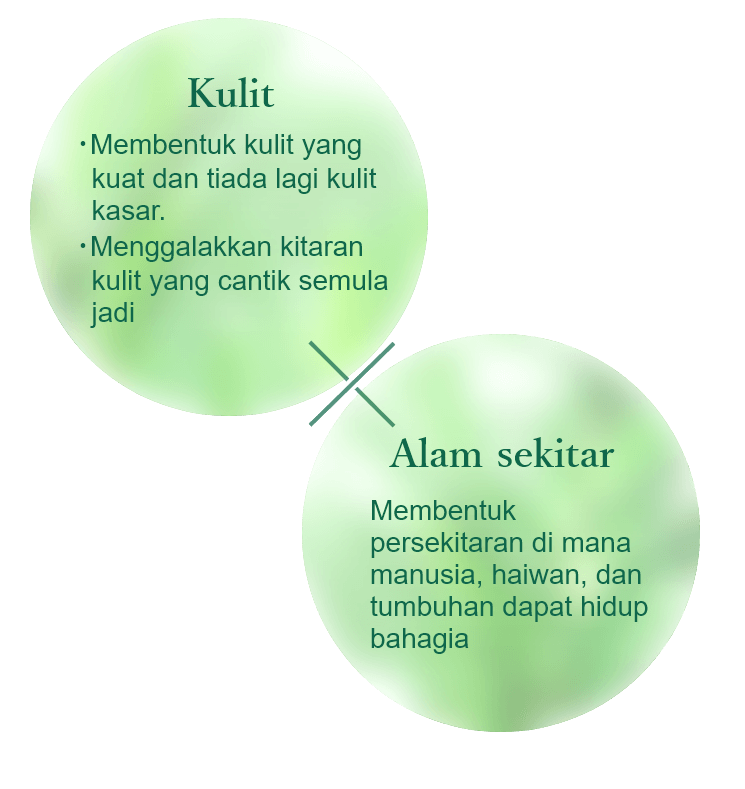 SKIN:No more rough skin, achieve the tough & healthy skin. To achieve the beautiful skin cycle、ENVIRONMENT:Develop an environment in which human, animals and natures … all could live happily.