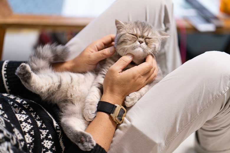 桃谷順天館 広報ブログ】グループ会社 コスメテックジャパンの社員が 