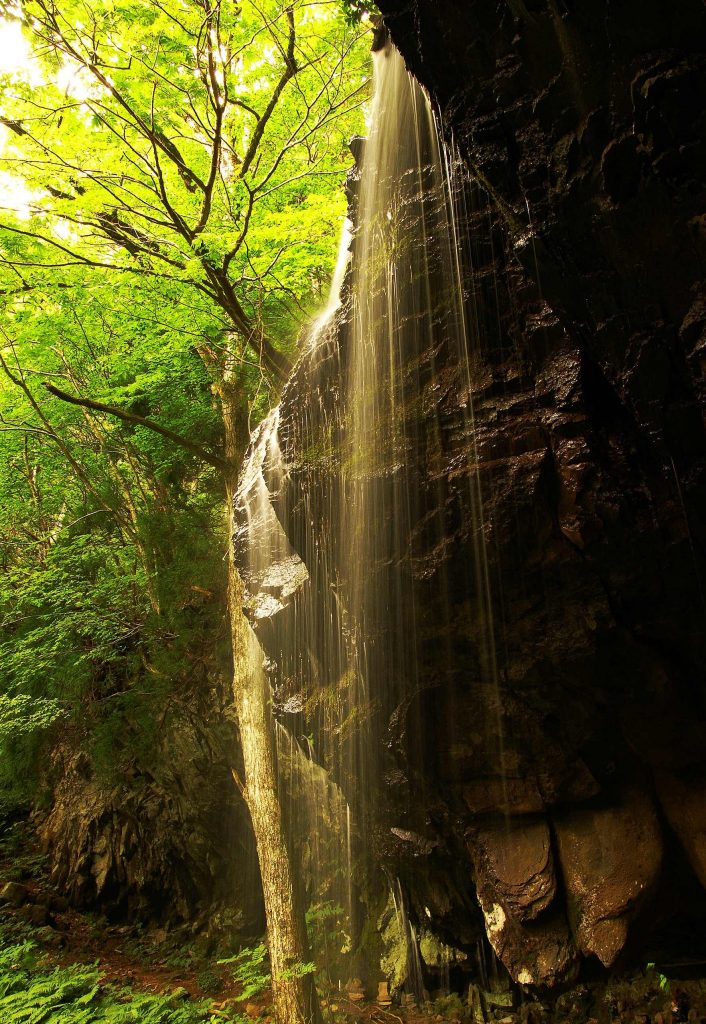 吉井川の上流部の岩井の滝