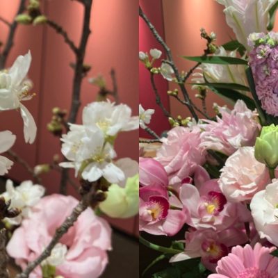 2026年度桃谷順天館の入社式