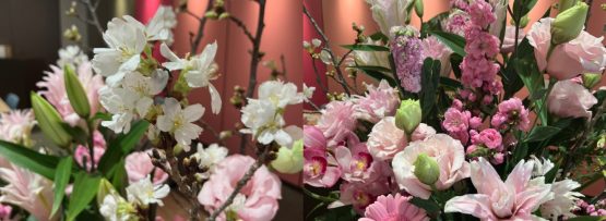 2026年度桃谷順天館の入社式