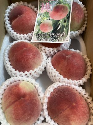 紀の川の桃