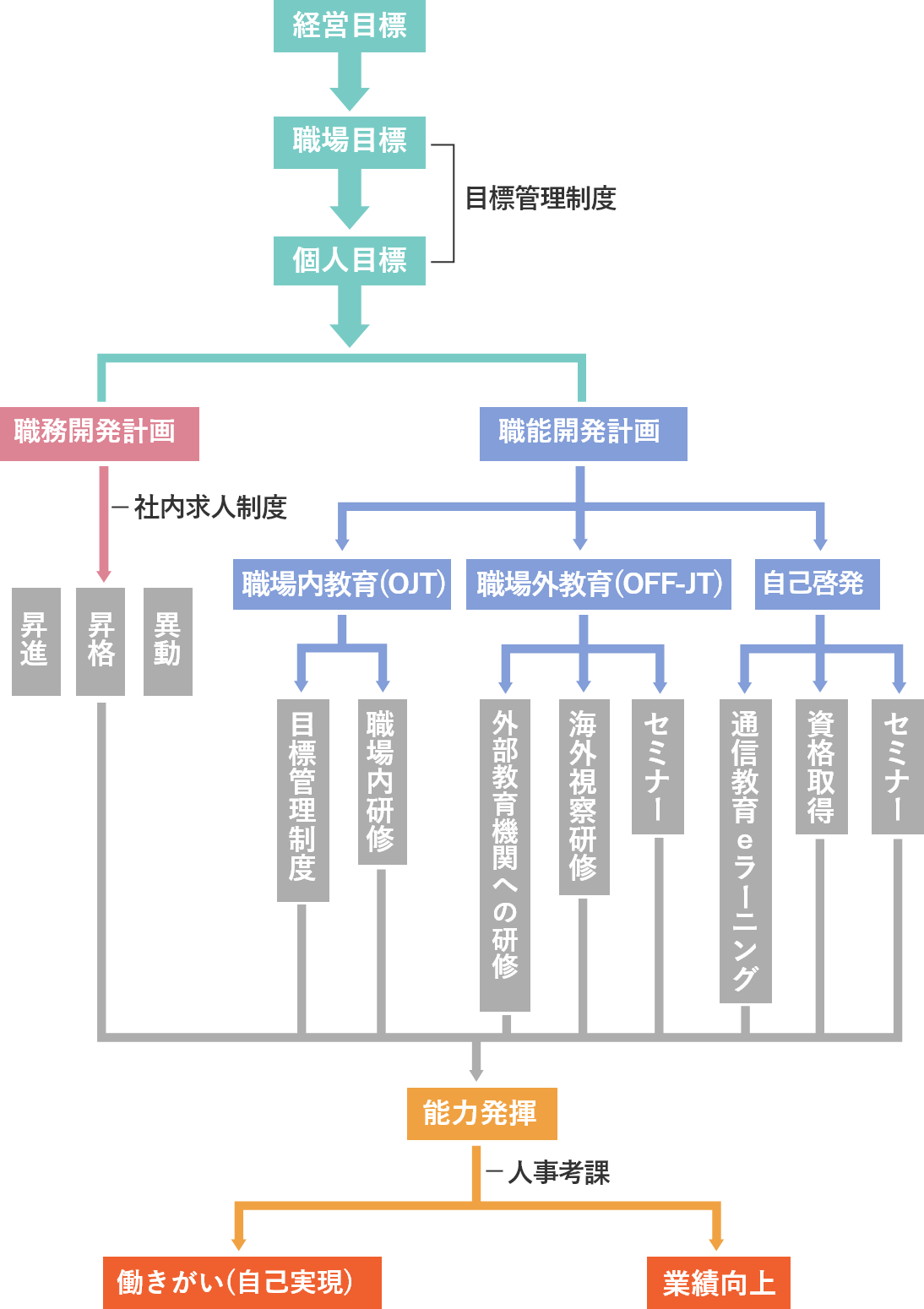 人材育成・研修