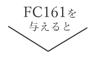 fc161を与えると